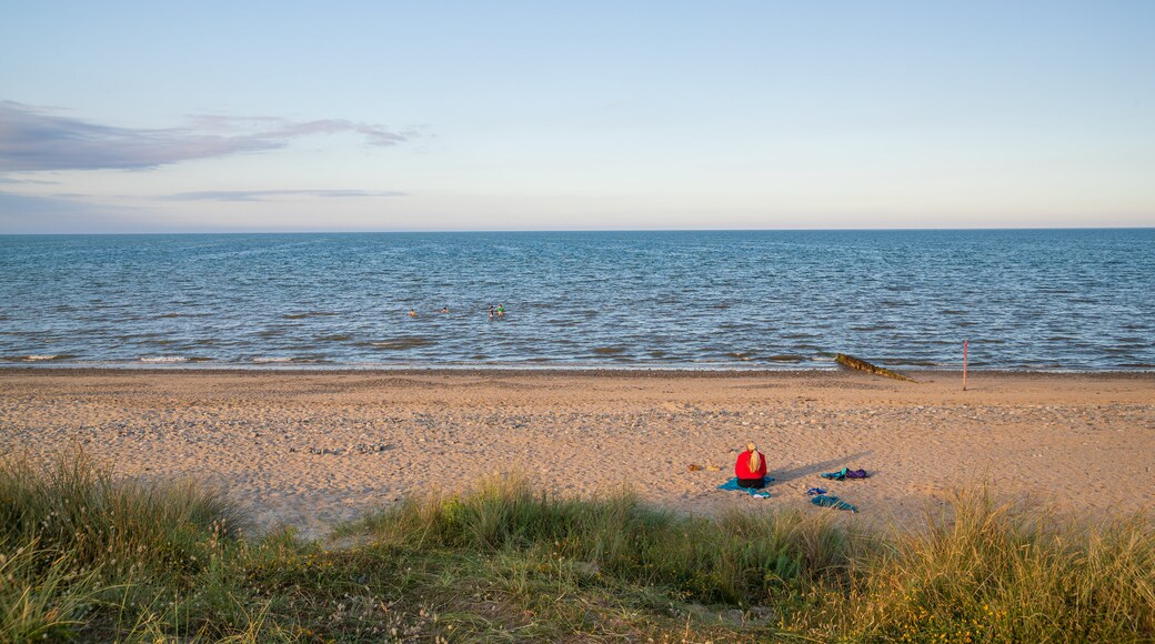 Playa de Rosslare