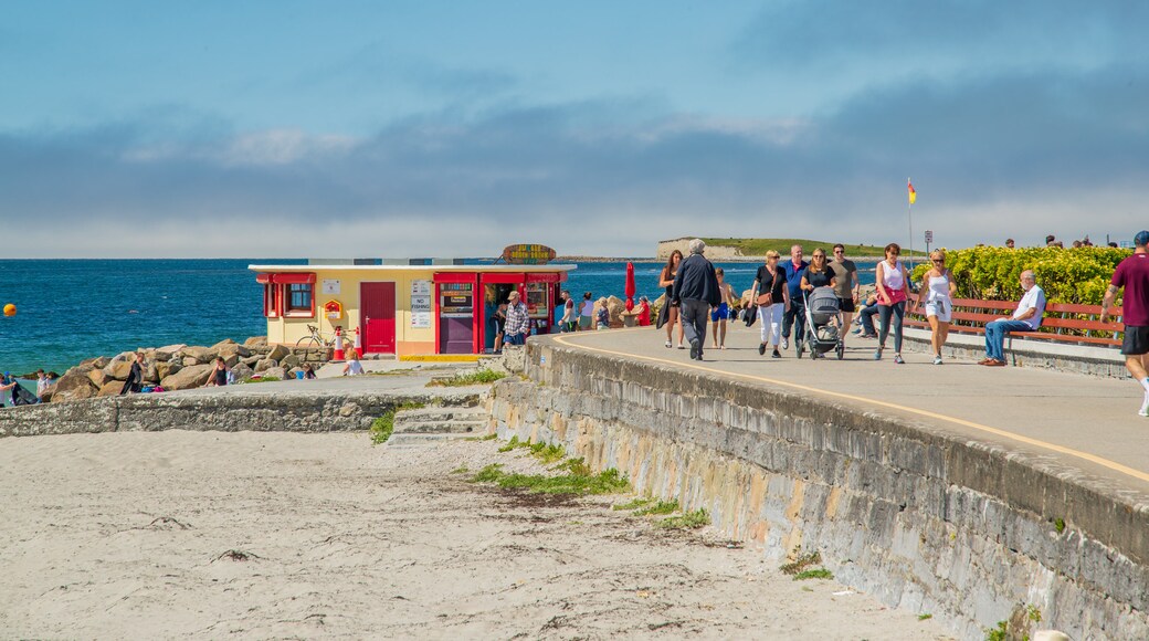 Salthill