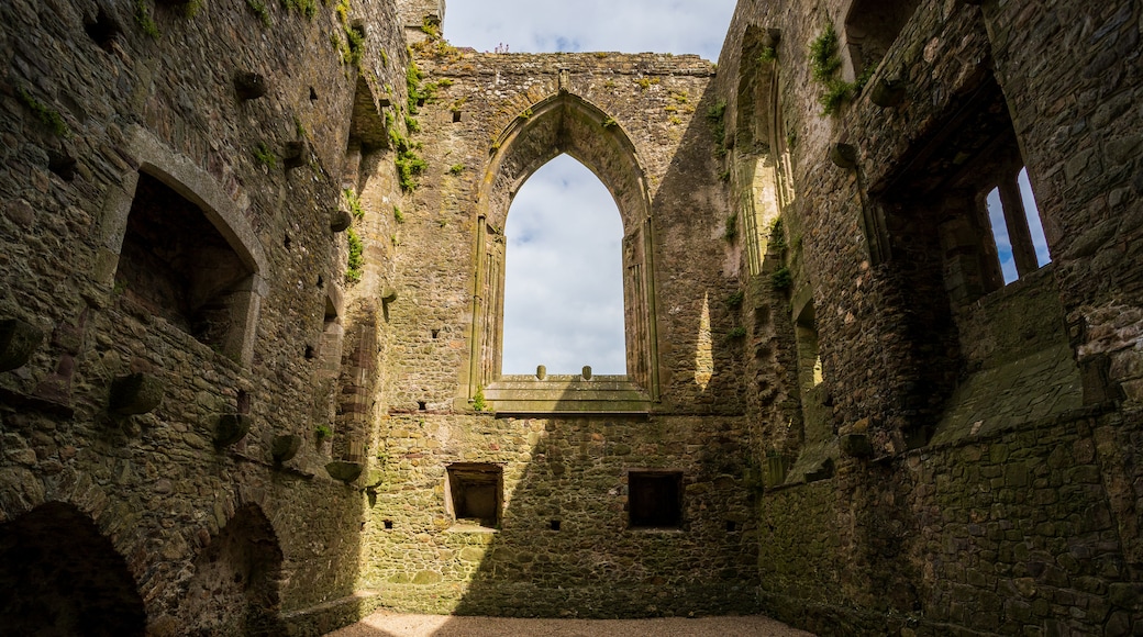 Tintern Abbey featuring heritage architecture and building ruins