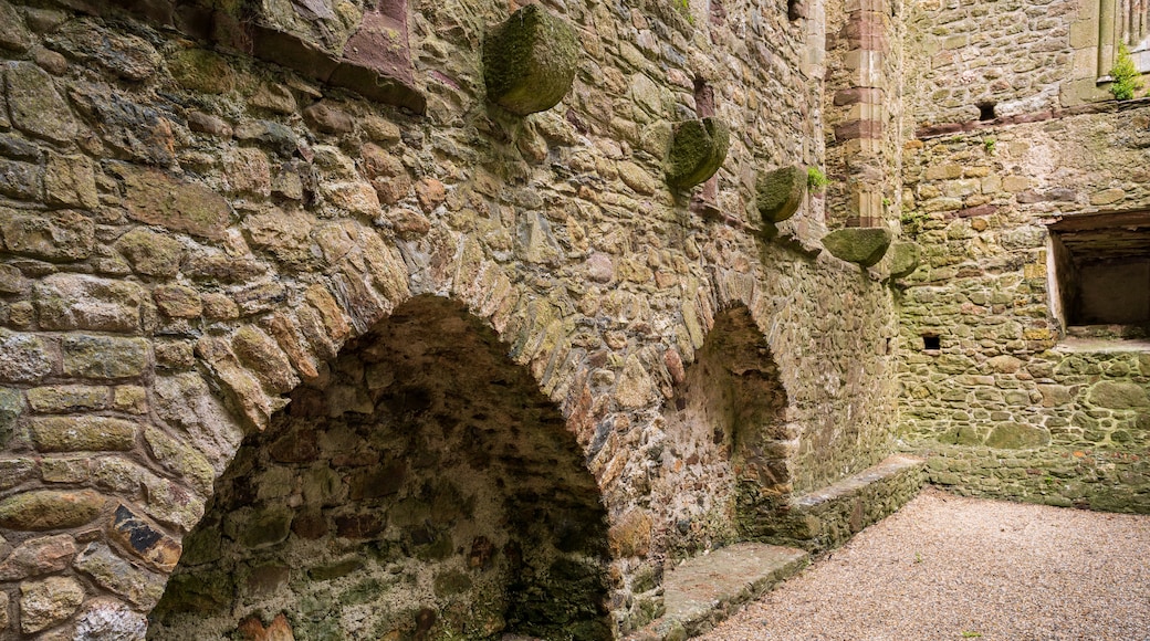 Tintern Abbey which includes heritage elements