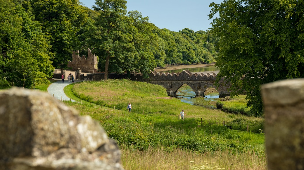 Tintern Abbey featuring a lake or waterhole, a bridge and a garden