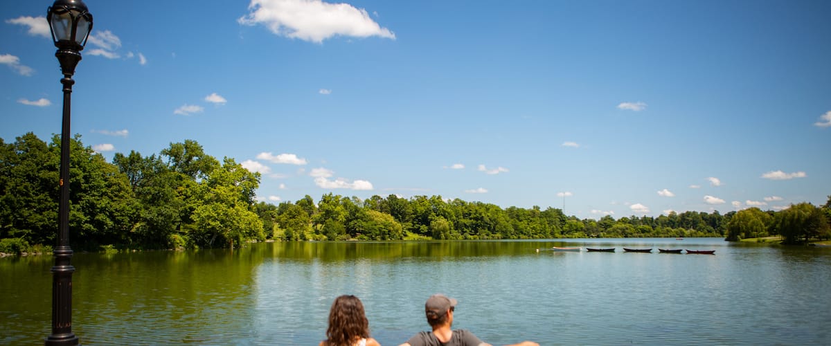 Buffalo showing a lake or waterhole as well as a couple
