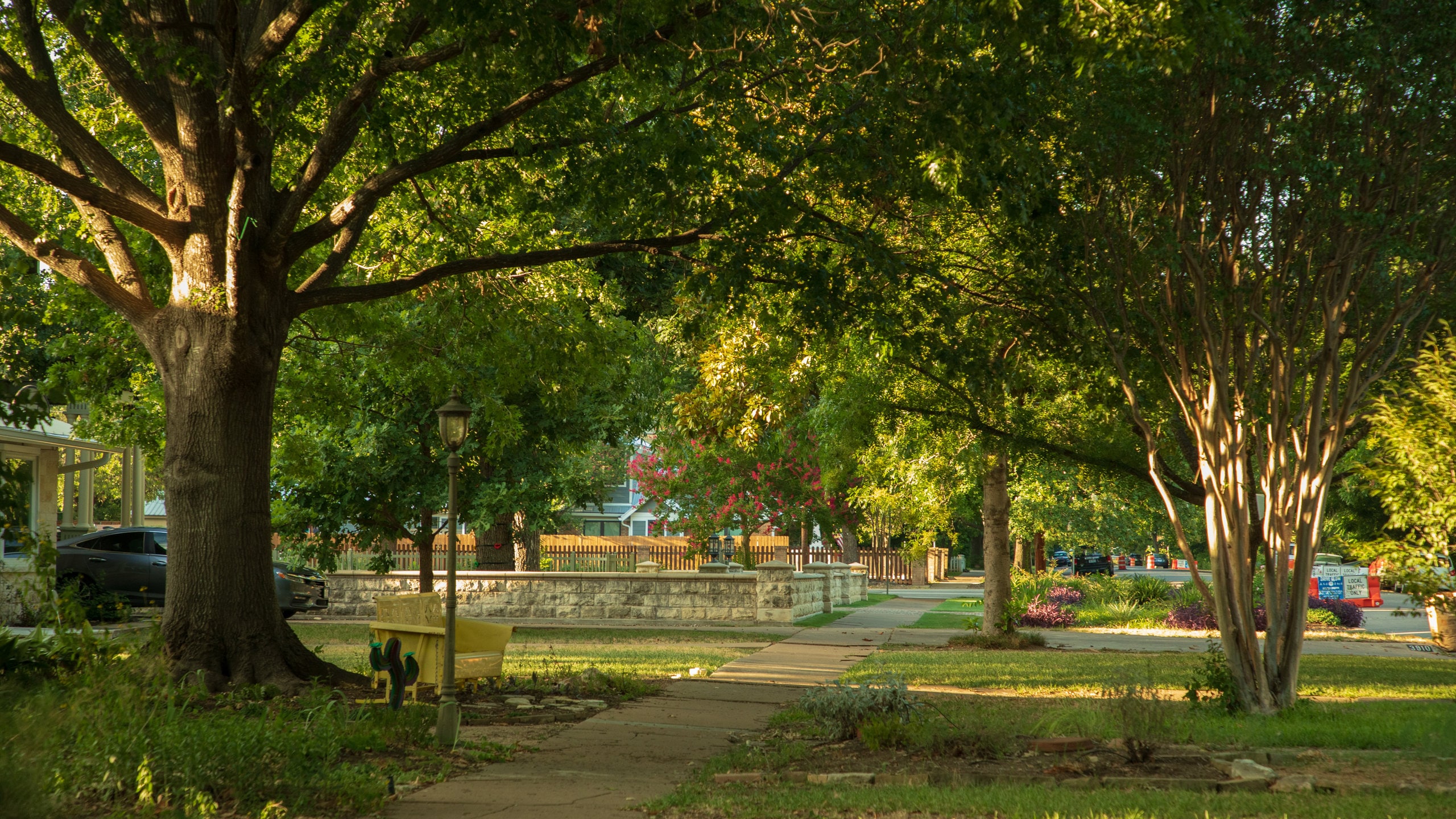 Central Austin which includes a garden