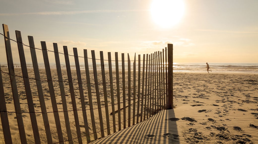 Photo provided by Courtesy of the Charleston Area CVB, ExploreCharleston.com