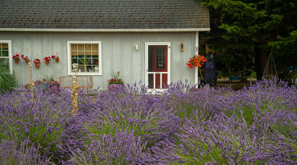 Jardin du Soleil