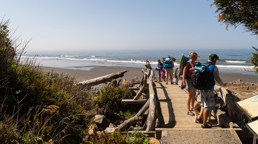 Kalaloch which includes general coastal views as well as a small group of people