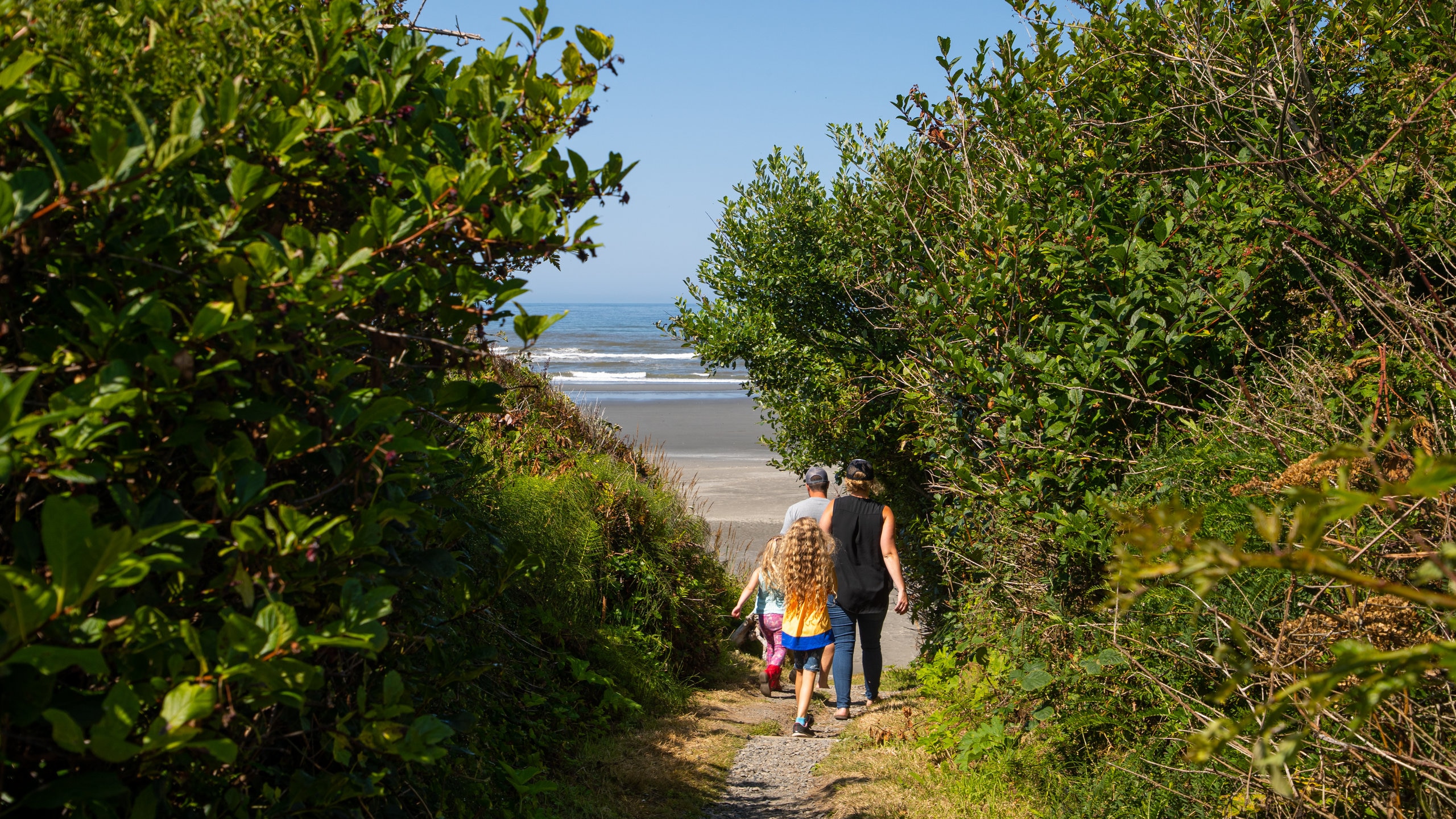 Kalaloch nature outlet trail