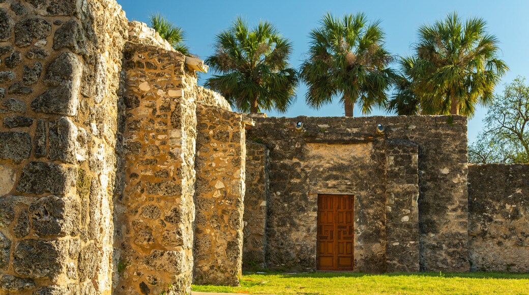 Mission Concepción