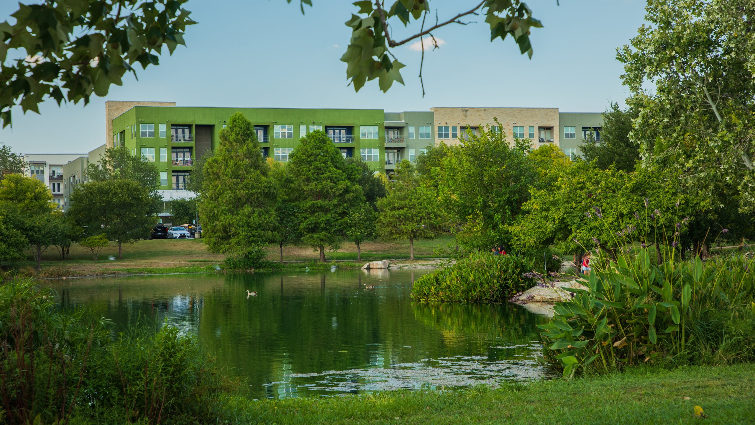 Mueller, Austin Vacation Rentals house rentals & more Vrbo