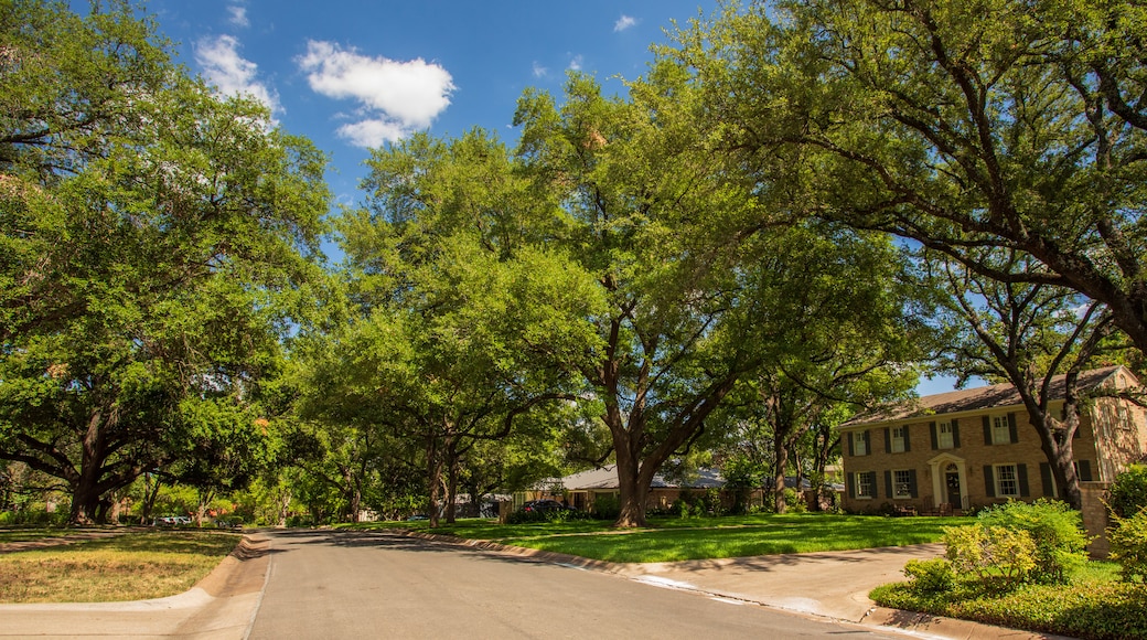 Old West Austin