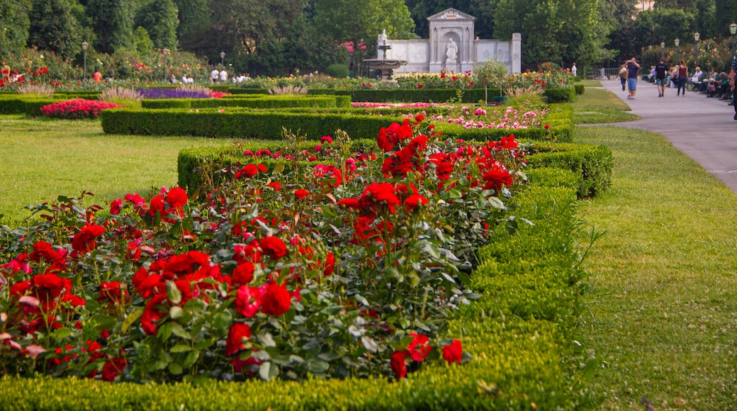 People\'s Garden showing wildflowers and a garden