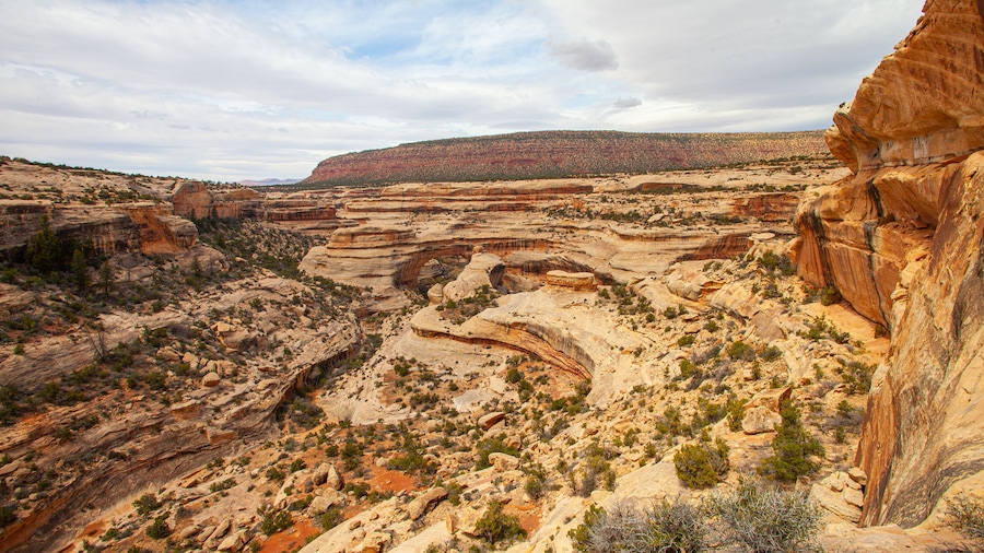 Natural Bridges National Monument featuring desert views, a gorge or canyon and landscape views