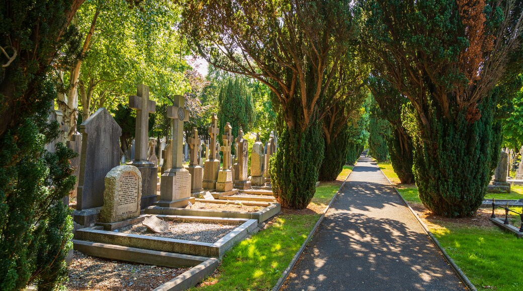 Cementerio de Glasnevin