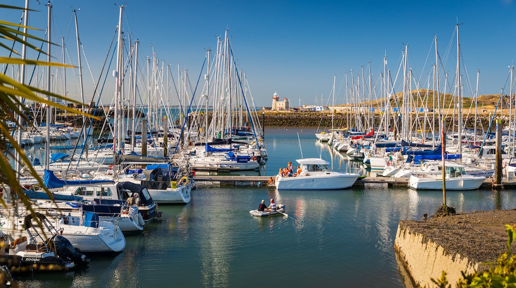 Howth which includes a bay or harbor and boating