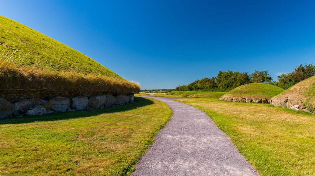 Knowth showing a park and heritage elements