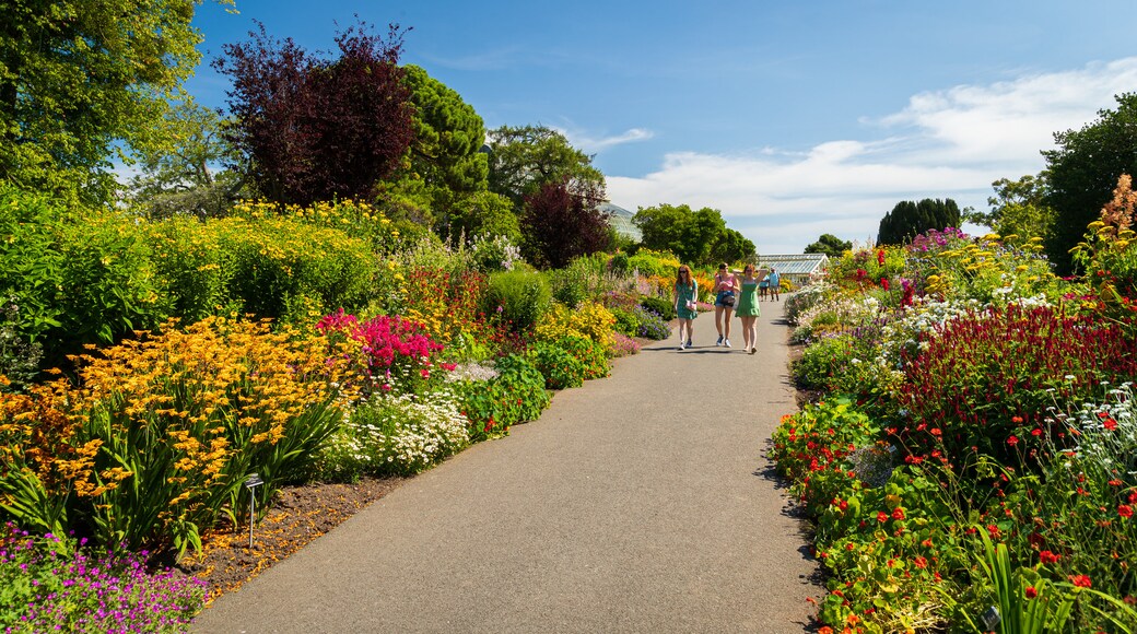 National Botanic Gardens showing a garden and wildflowers as well as a small group of people