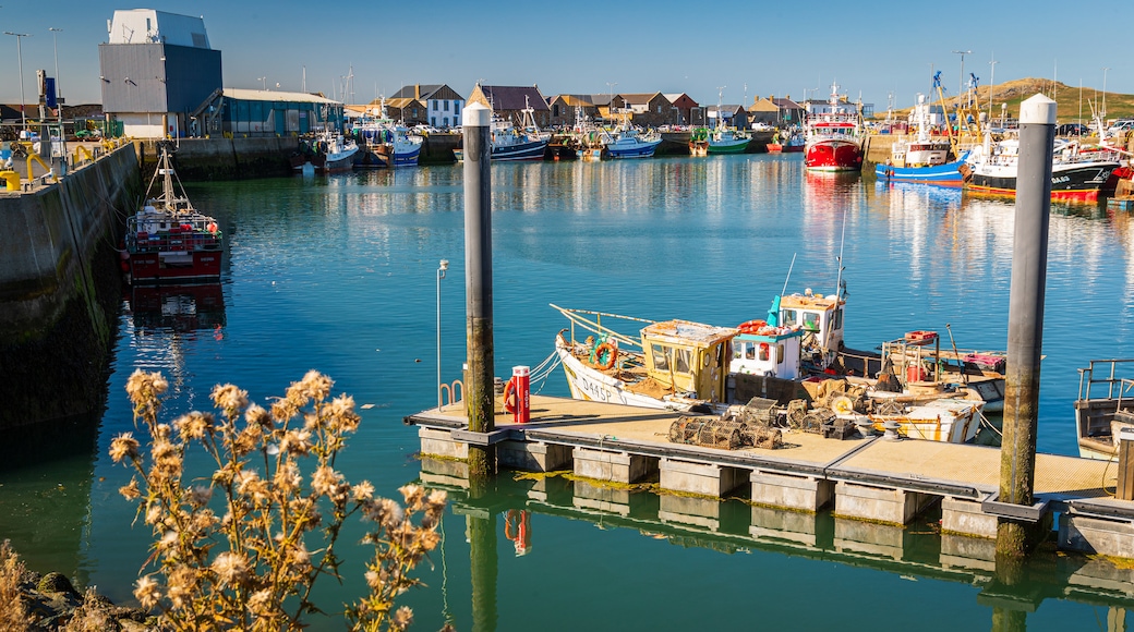 Howth featuring a bay or harbor