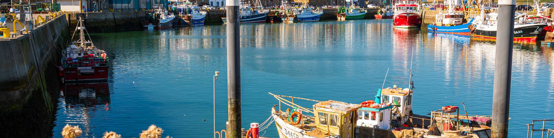 Howth featuring a bay or harbor