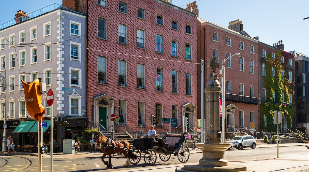 Little Museum of Dublin featuring heritage elements, a city and land animals