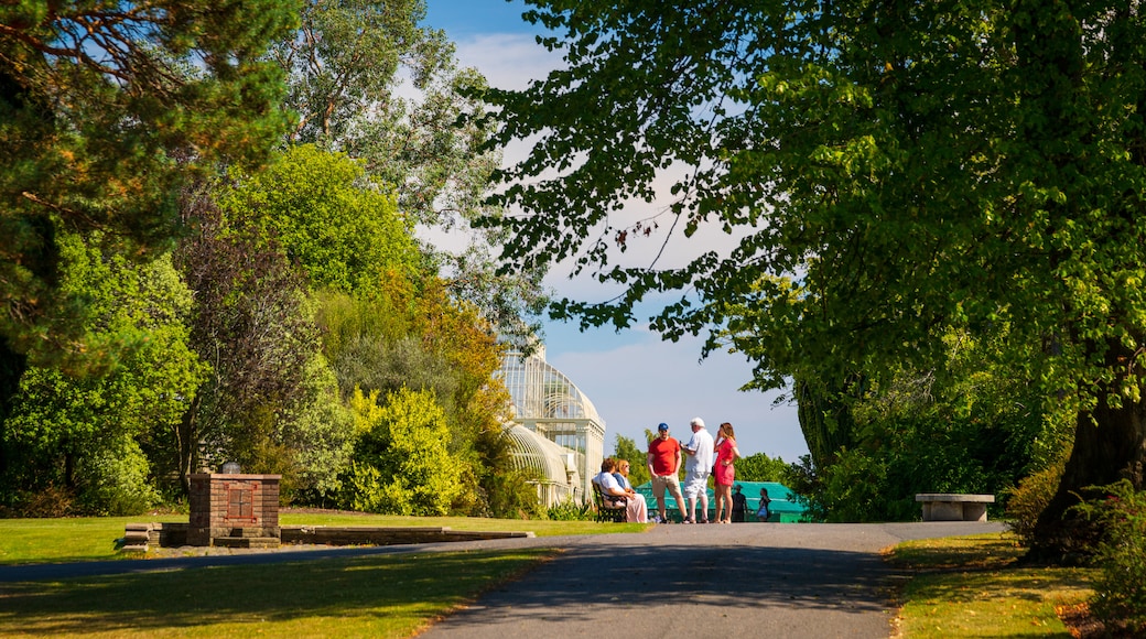 National Botanic Gardens which includes a garden as well as a small group of people