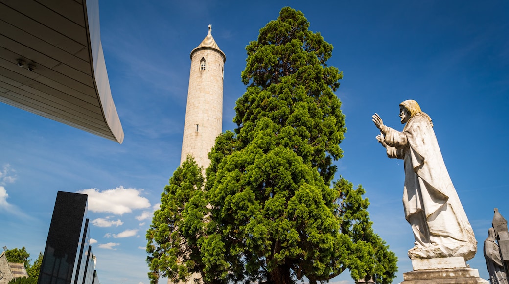 Glasnevin Cemetery showing a statue or sculpture