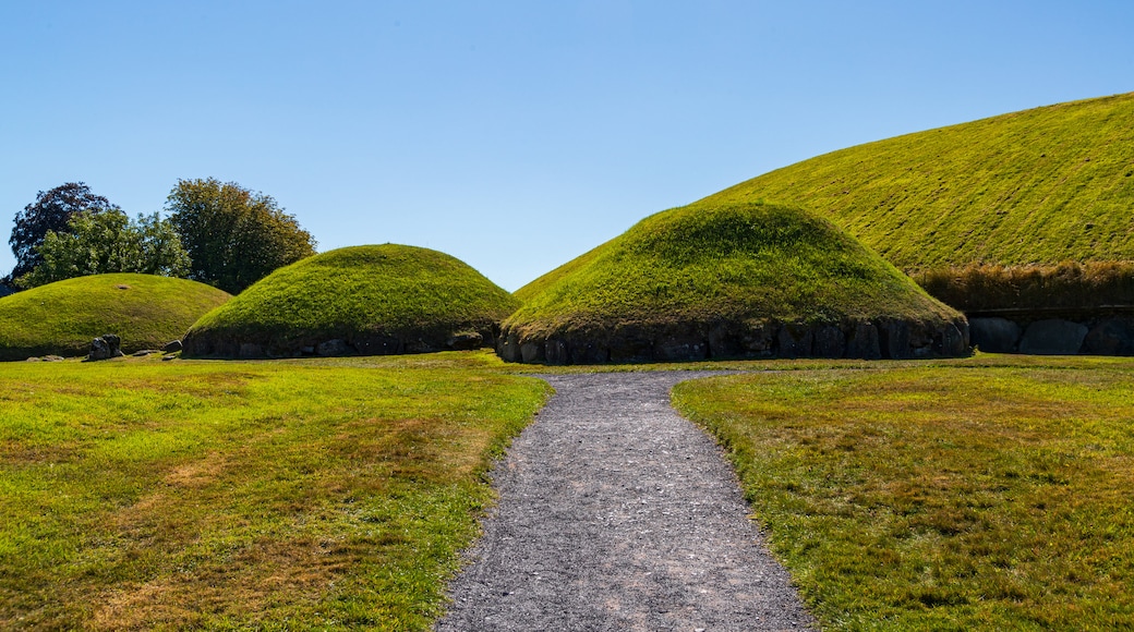 County Meath