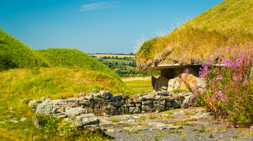 Knowth featuring heritage elements and wildflowers