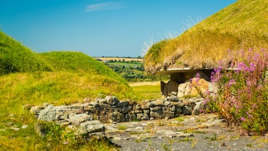 Knowth featuring heritage elements and wildflowers