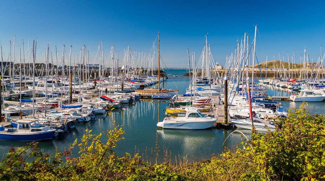 Howth showing a bay or harbor