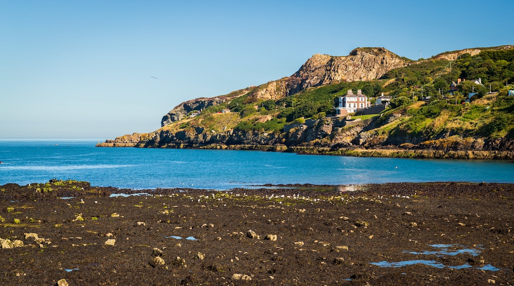 Howth which includes general coastal views, rocky coastline and a coastal town