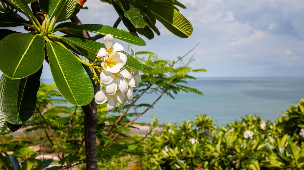 Tuong Dai Chua Kito Vua which includes wildflowers, general coastal views and tropical scenes