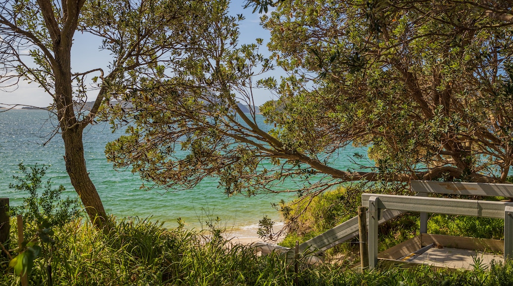 Shoal Bay which includes general coastal views