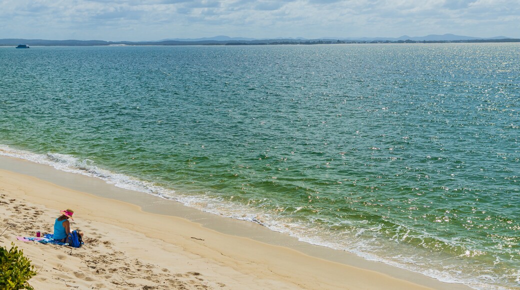 Shoal Bay Beach featuring general coastal views and a beach as well as an individual femail