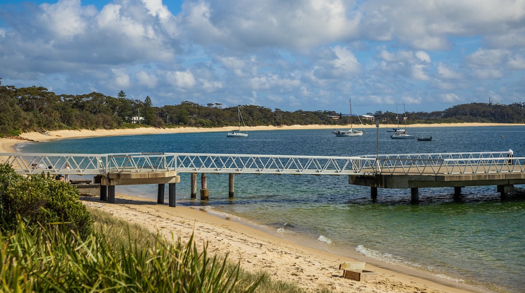 Shoal Bay featuring a sandy beach and general coastal views