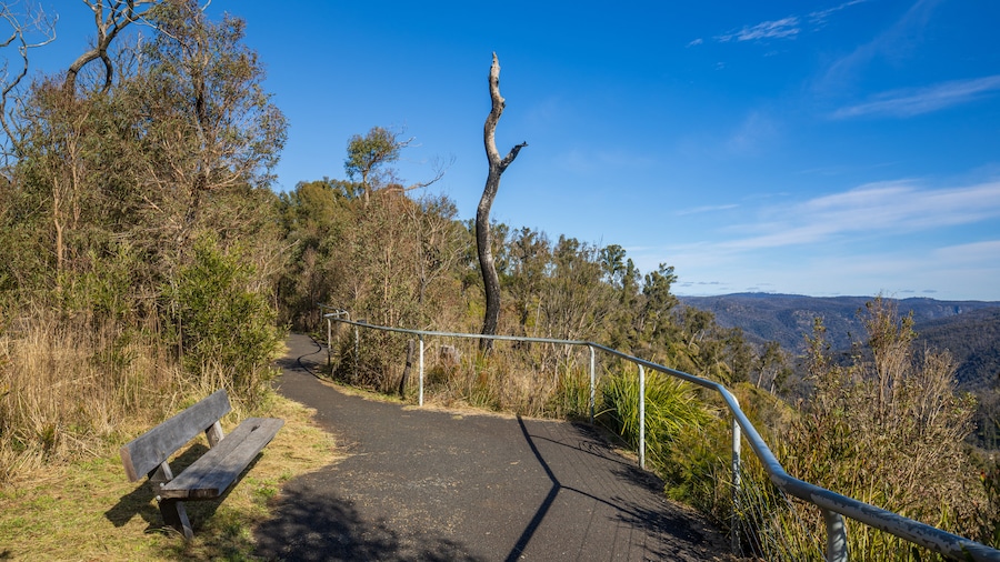 Ebor Falls showing tranquil scenes and views