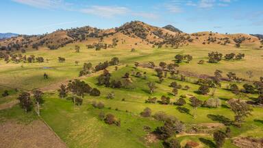 Nundle featuring tranquil scenes and landscape views