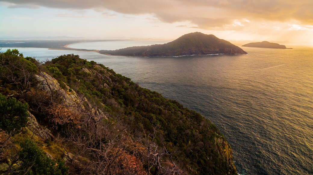 Tomaree Head