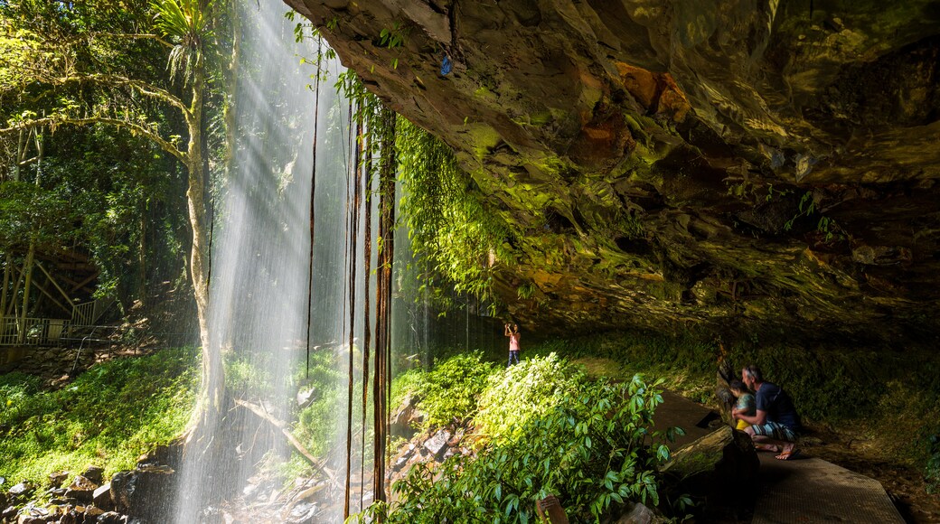 Crystal Shower Falls Walk Trailhead showing a waterfall