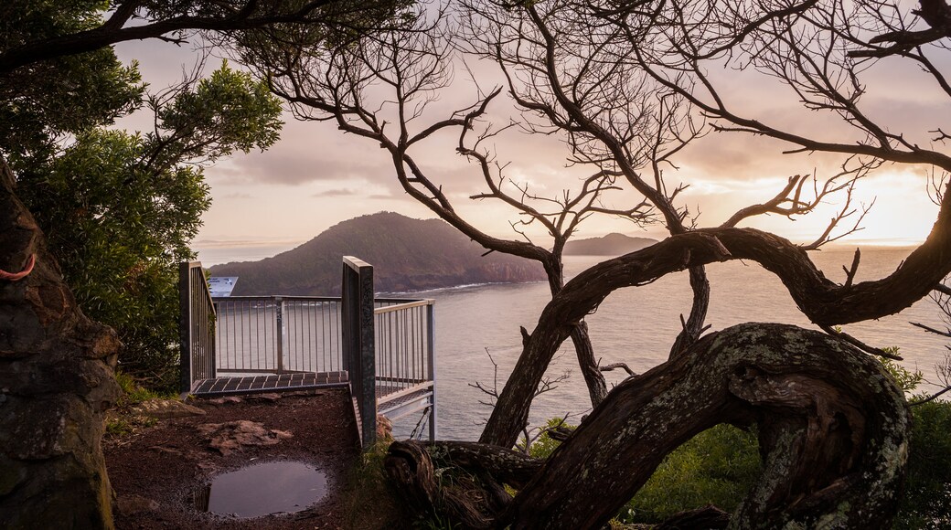 Tomaree Head