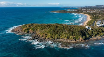 Woolgoolga featuring general coastal views, rugged coastline and landscape views