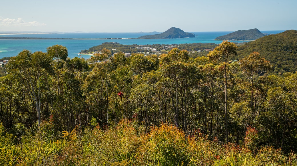 Gan Gan Hill Lookout