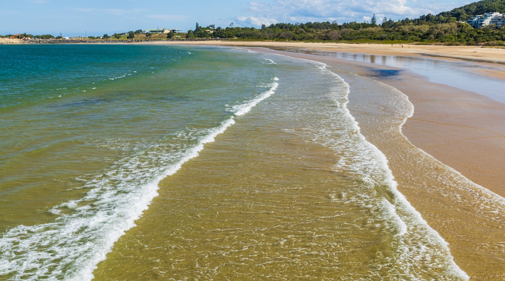 Jetty Beach featuring a sandy beach and general coastal views