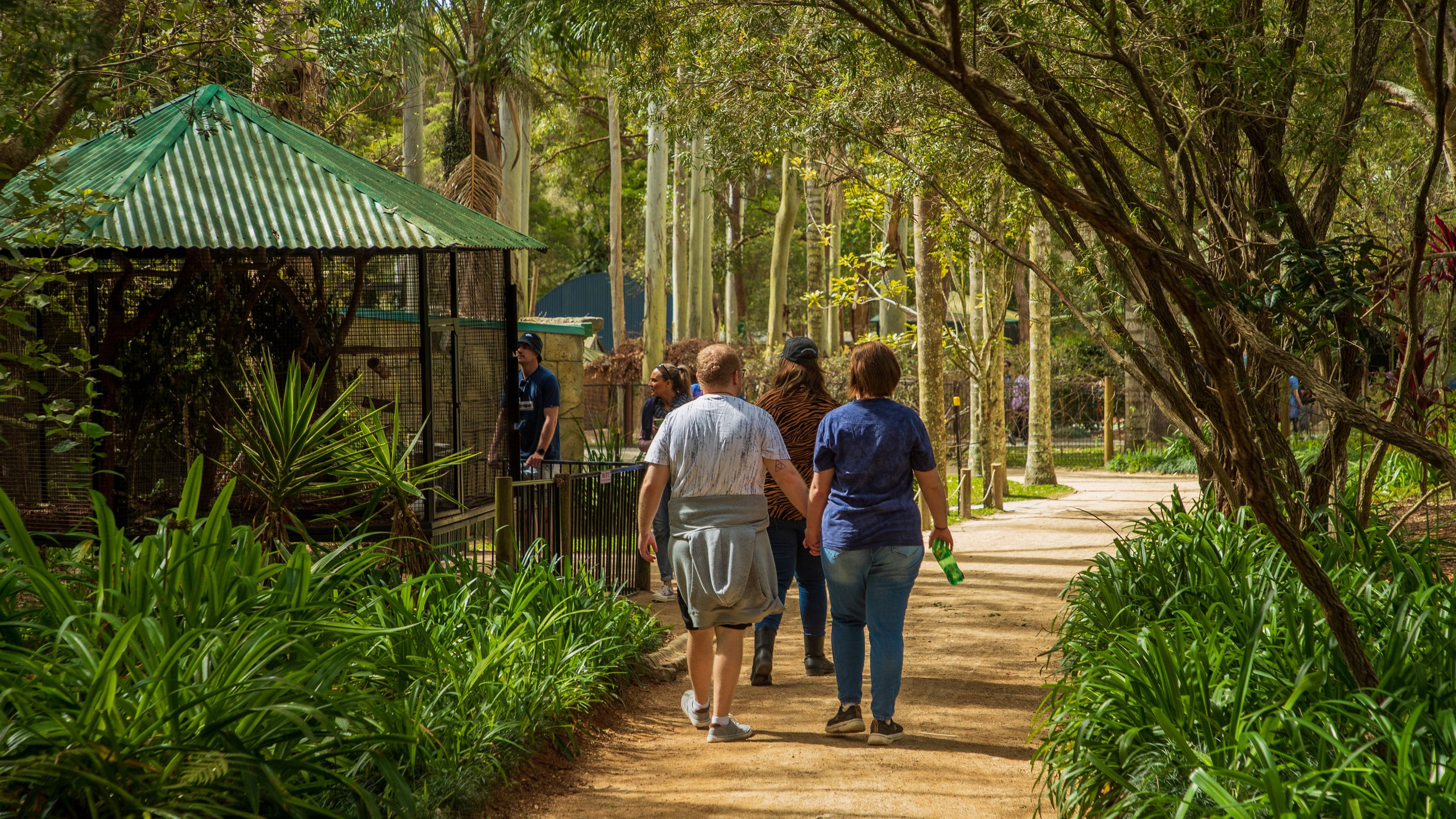 Visitez Port Macquarie guide touristique 2024 Expedia.fr