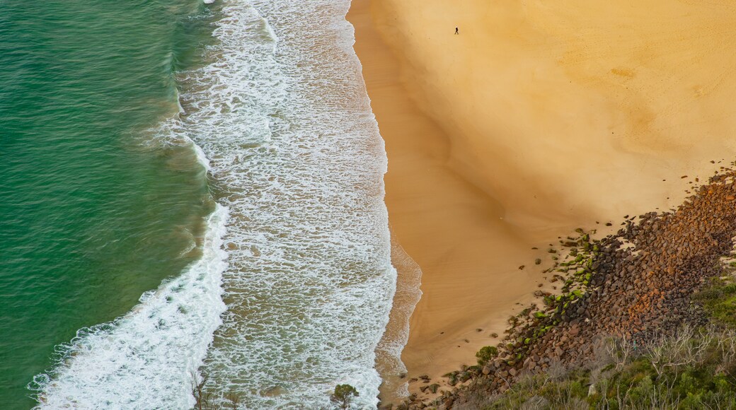 Tomaree Head