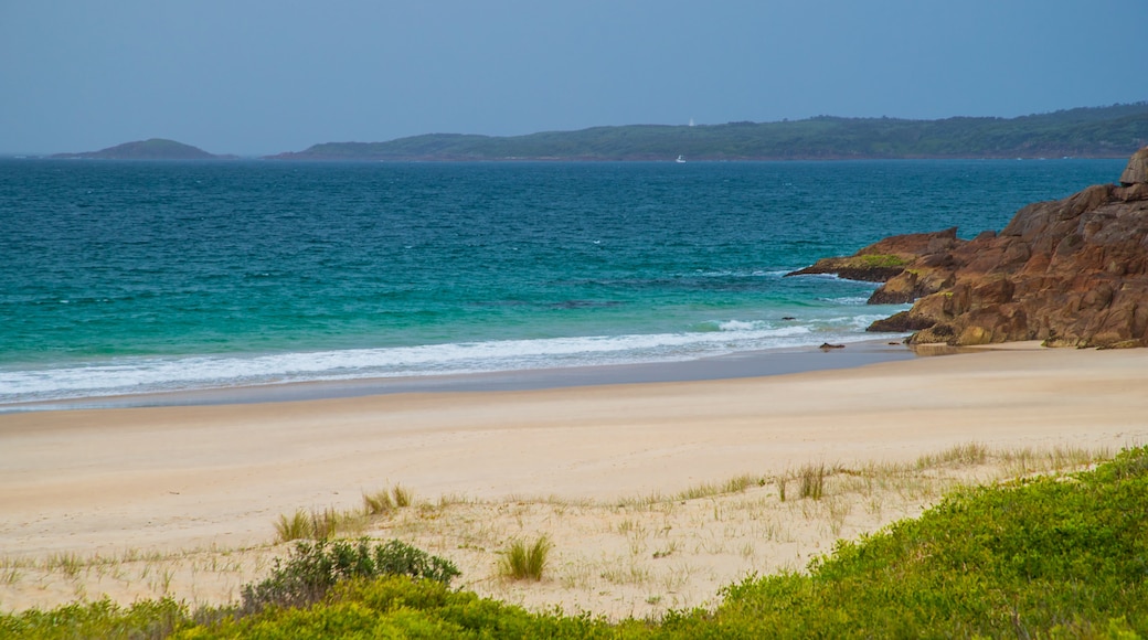 Tomaree National Park featuring general coastal views and a sandy beach