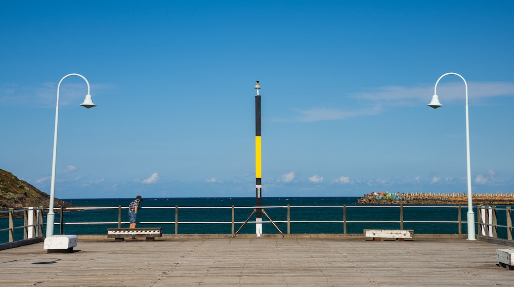 Coffs Jetty Pier showing general coastal views and views