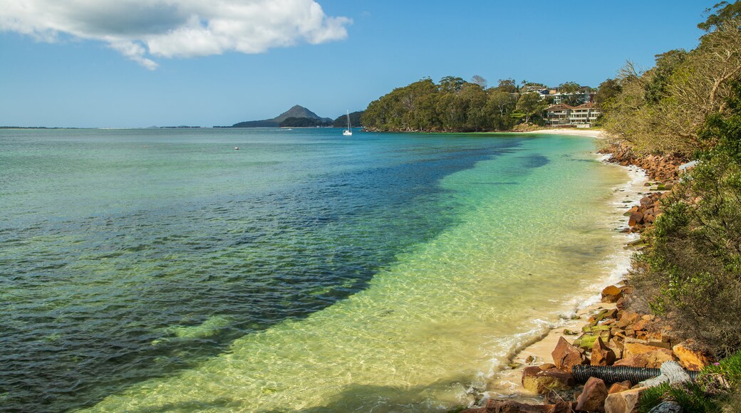 Dutchmans Beach featuring general coastal views