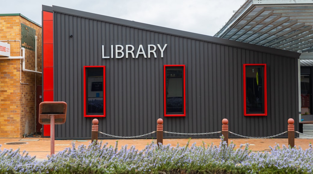 Quirindi featuring wildflowers and signage