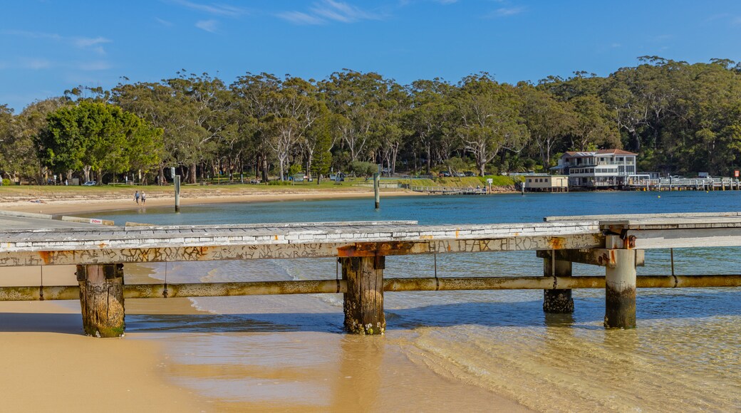 Parque Nacional Bouddi