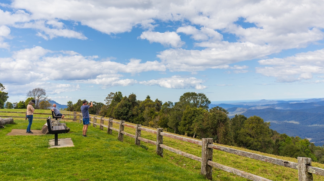 Griffiths Lookout